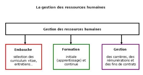 myflixer.rh|les différents domaines des rh.